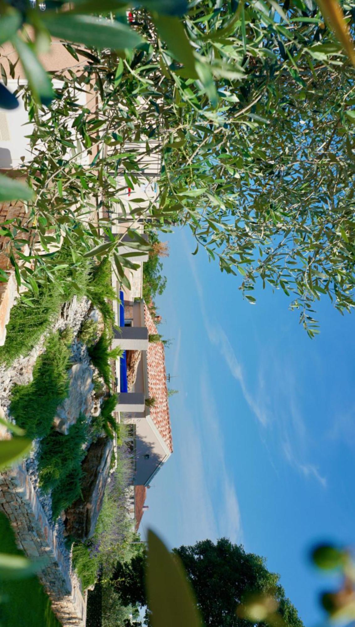 אומאג Apartments Barbara מראה חיצוני תמונה